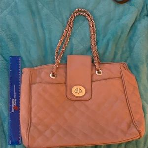 Aldo Pink Purse